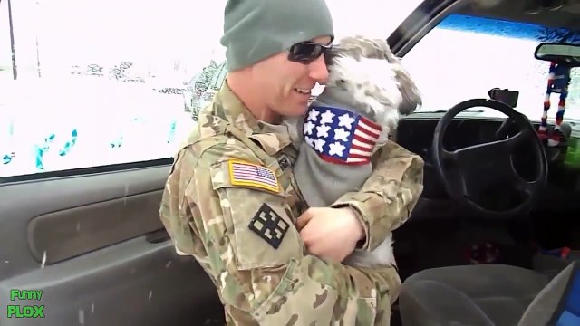 Dogs Welcoming Soldiers Home Compilation 2012