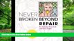 Big Deals  Never Broken Beyond Repair: Reclaiming Your Life and Your Light  Free Full Read Best