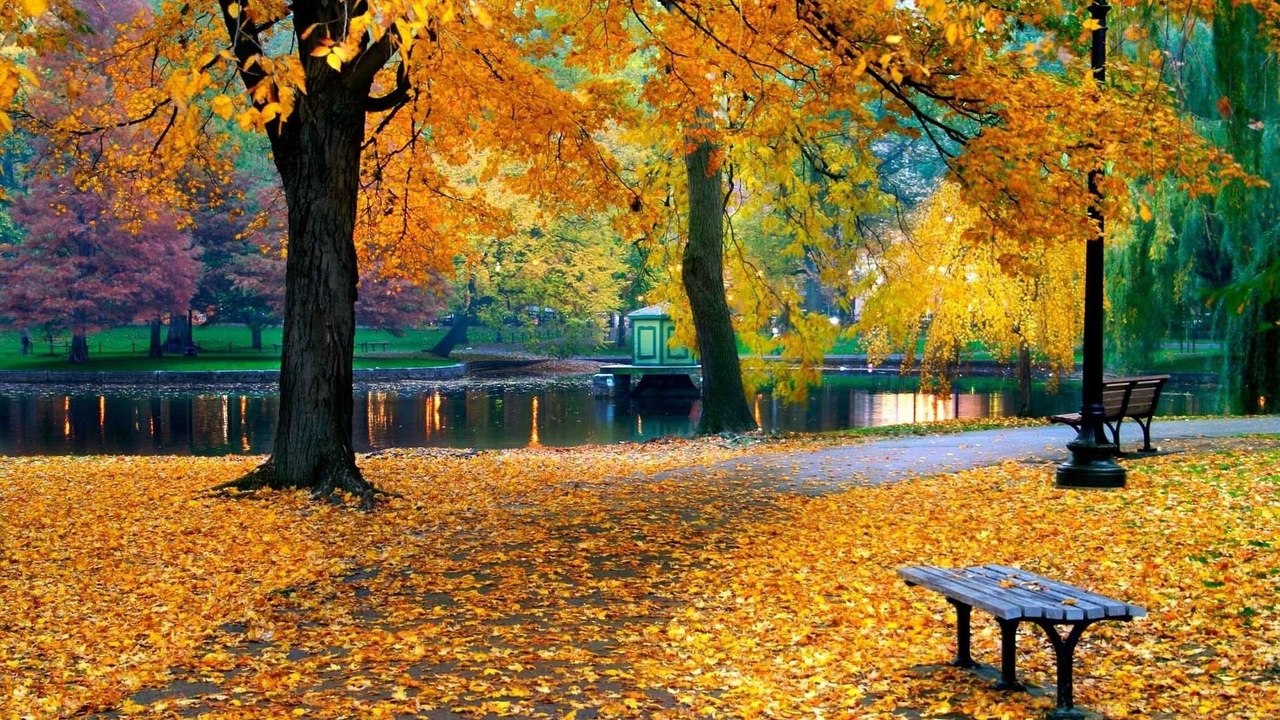 Automne Central Parc