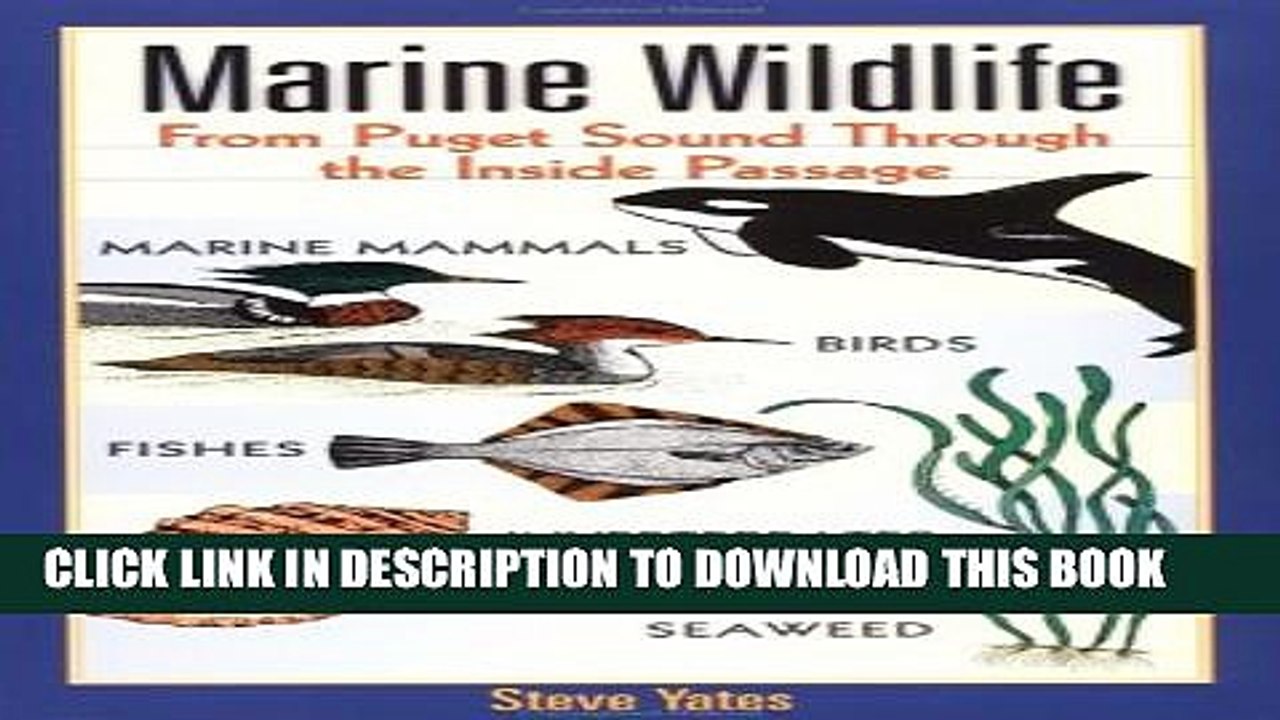 [PDF] Marine Wildlife: From Puget Sound Through the Inside Passage Popular Online