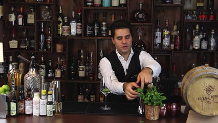 Hugo selber mixen - Schüttelschule by Banneke