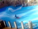 Wild Wadi Dubai SURFING PRO! STUNT !