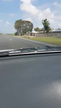 Un serpent en mode passager clandestin... Flippant