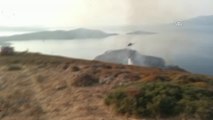 Paşalimanı Adası'nda Yangın - Balıkesir