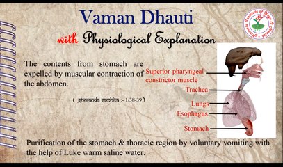 Vaman Dhauti with Physiological Explanation