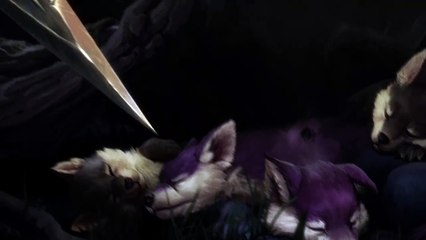 L'ami de la forêt - League of Legends