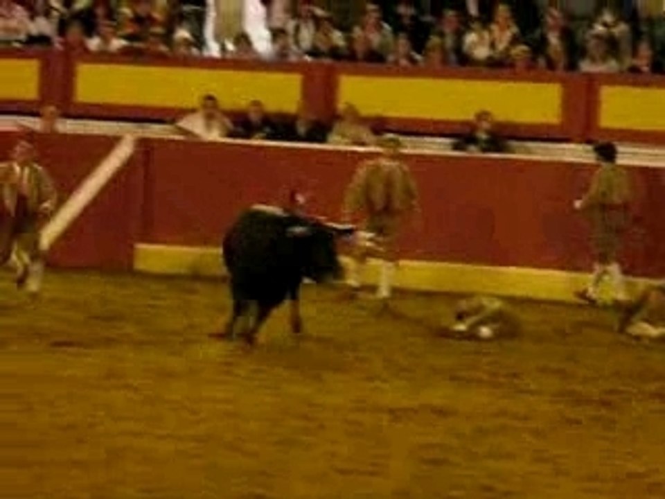 Corrida portugaise 3
