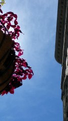 strange light in sky above New York NY, US,02.09.2016.