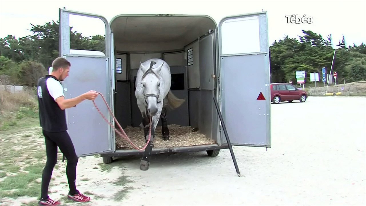 Equitation. Allan Léon : une vie au galop