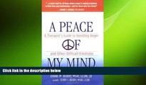Big Deals  A Peace of My Mind: A Therapist s Guide to Handling Anger and Other Difficult Emotions