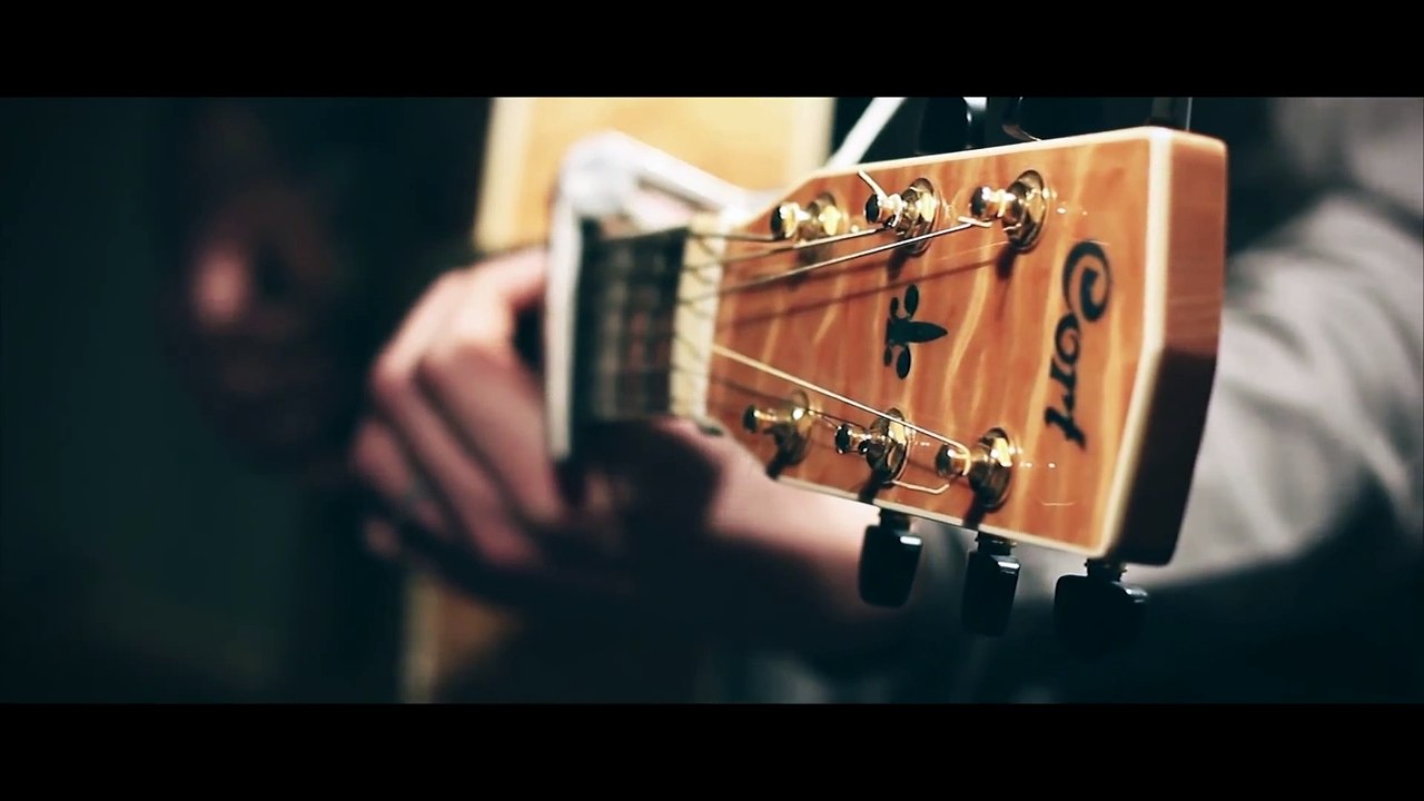 Hey brother - Avicii (acoustic cover by Damien McFly feat. Facs)