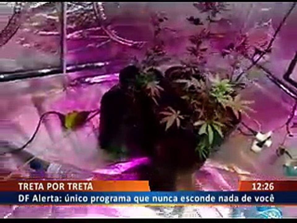 TUDO PELO BRÓDER