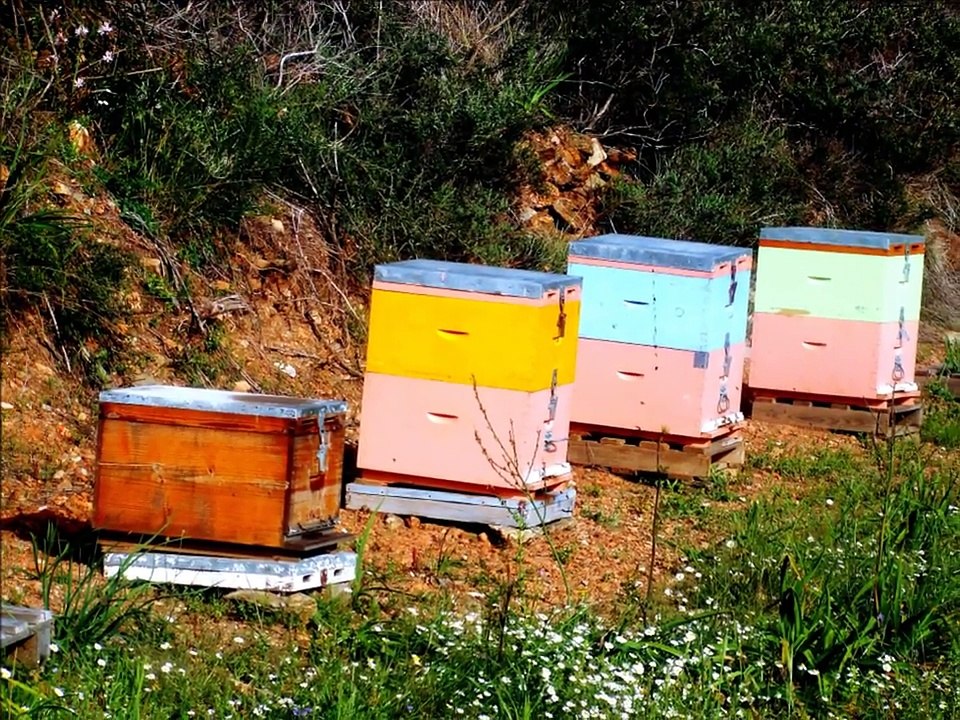 Imagine Kythera island California USA September 29 2013