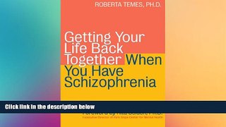 Big Deals  Getting Your Life Back Together When You Have Schizophrenia  Free Full Read Best Seller
