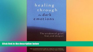 Big Deals  Healing through the Dark Emotions: The Wisdom of Grief, Fear, and Despair  Free Full