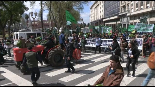 Productores argentinos protagonizan protesta regalando verduras