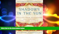 Big Deals  Shadows in the Sun: Healing from Depression and Finding the Light Within  Best Seller