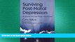Big Deals  Surviving Post-Natal Depression: At Home, No One Hears You Scream  Best Seller Books