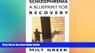 Big Deals  Schizophrenia: A Blueprint for Recovery  Best Seller Books Most Wanted