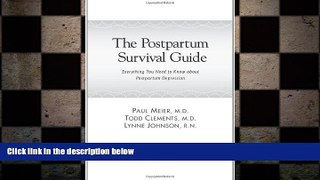 Big Deals  The Postpartum Survival Guide: Everything You Need to Know about Postpartum Depression