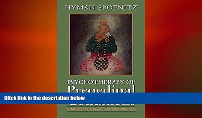 Big Deals  Psychotherapy of the Preoedipal Conditions  Free Full Read Most Wanted