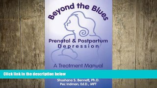 Big Deals  Beyond The Blues: Prenatal and Postpartum Depression, A Treatment Manual  Best Seller