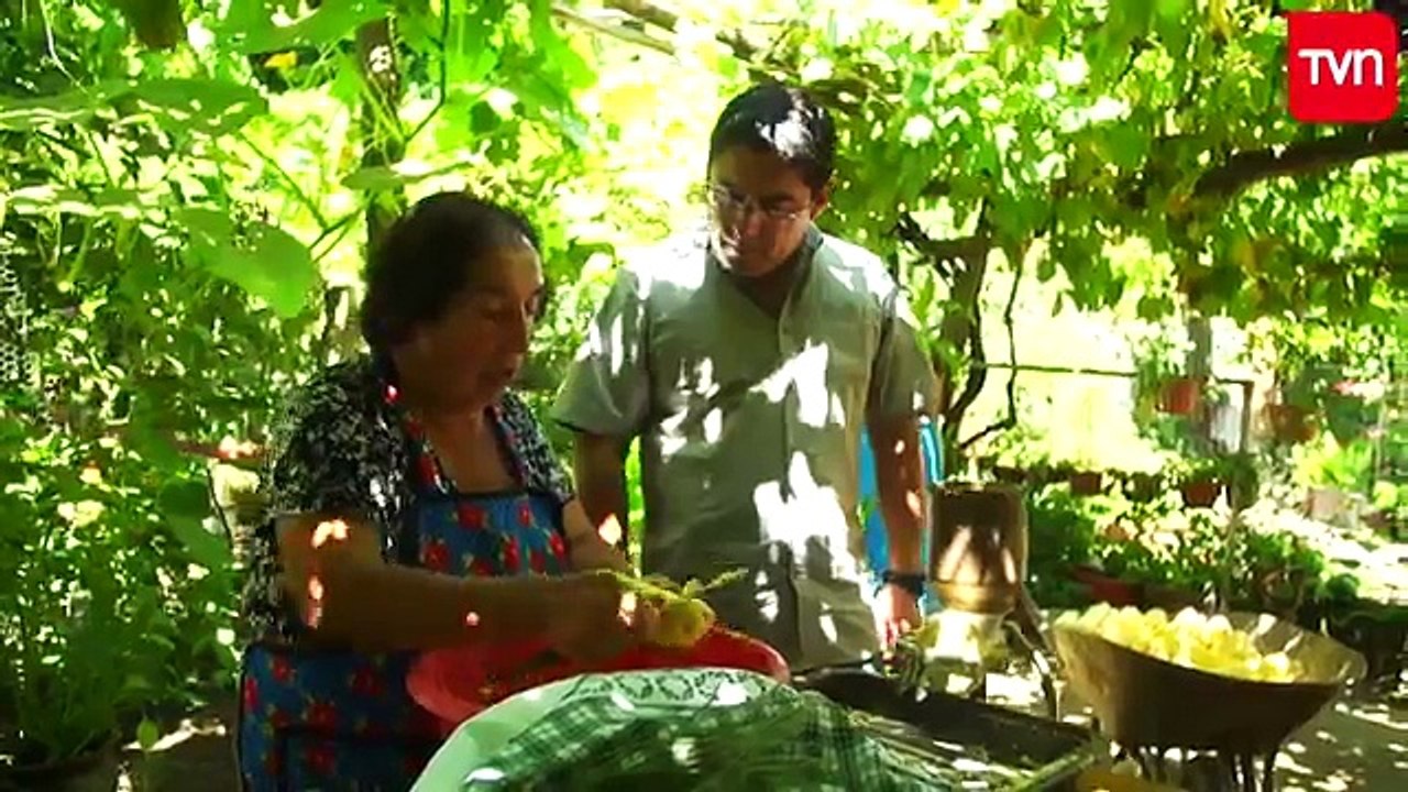 Lleve de lo bueno - E1- Paine- sandía - choclo humero