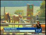 Preocupación por la línea que pasará por el Parque Nacional Cotopaxi