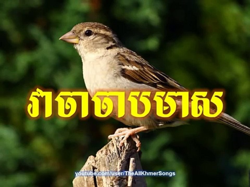Sin Sisamuth - Veacha Chab Meas - Sin Sisamuth Song