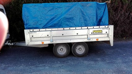 Gray Des abeilles s'échappent du camion d'un mystérieux apiculteur