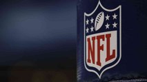 NFL Shop Bans 'Harambe' Jerseys