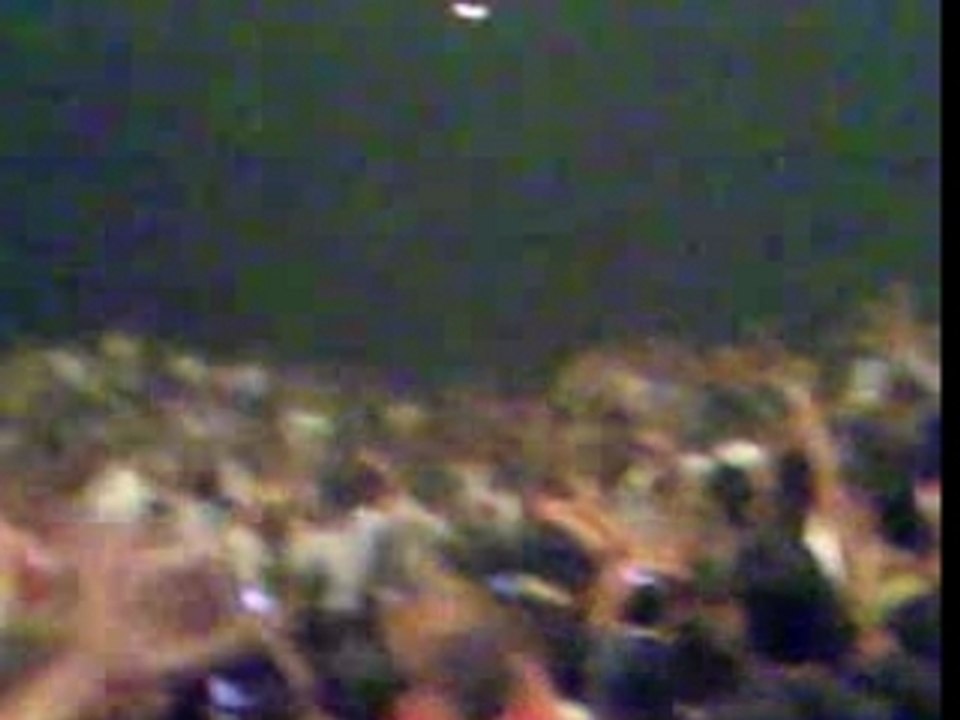 Akon concert