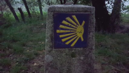 Il nostro Cammino di Santiago 8