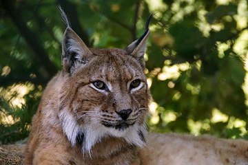 안산주부알바『찜알바』알바카페