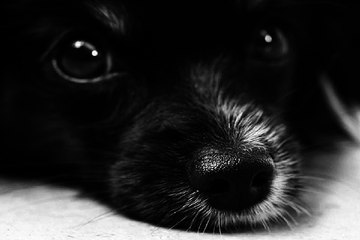 시크릿알바『찜알바』알바넷