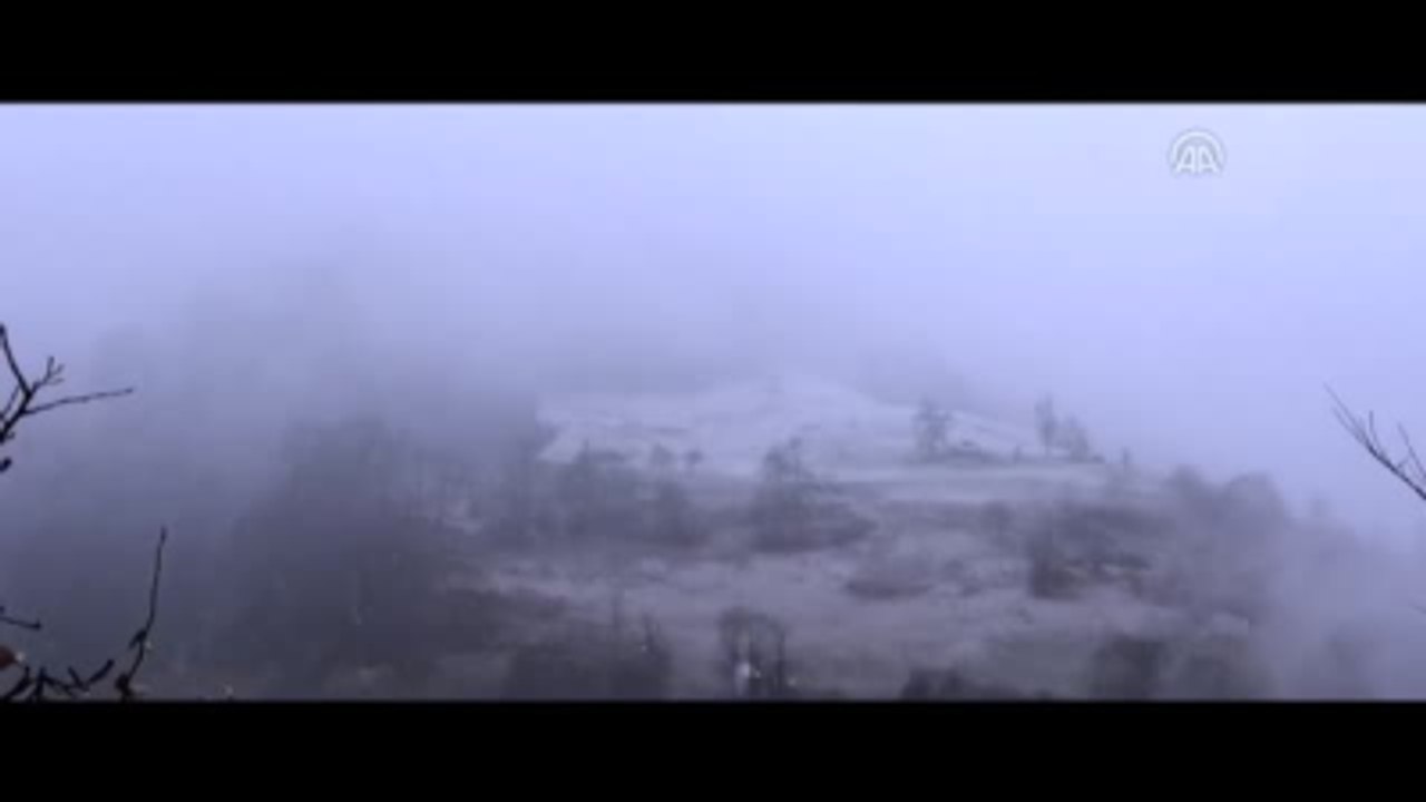 Sinema - Kalandar