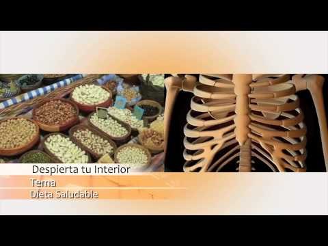 Salud Belleza y Nutrición - La Nutrición - Ultratone Fitness Studio