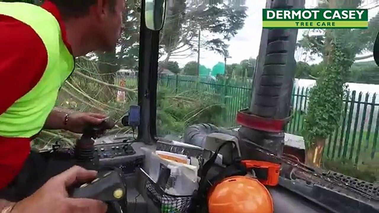 Dermot Casey Tree Care team on site in Ballincollig.
