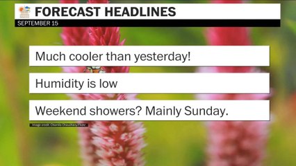 Much cooler than yesterday