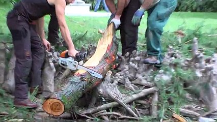 Coup de vent: 104 km/h à Tours