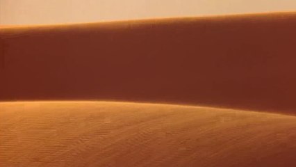 Denis Villeneuve quiere hacer un remake de 'Dune'