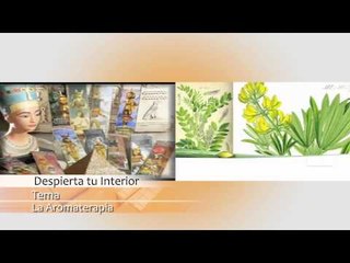 Salud, Belleza y Nutrición - La Aromaterapia - Hotel Aromax del Campestre