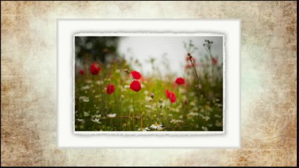 Splet narodnih pesama 14 - Orkestar Vlastimira Pavlovica Carevca