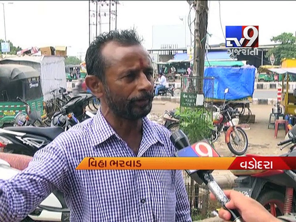 Stray cattle continues to cause accidents on roads, Vadodara - Tv9 Gujarati