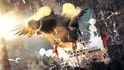 Duck Hunting Missouri