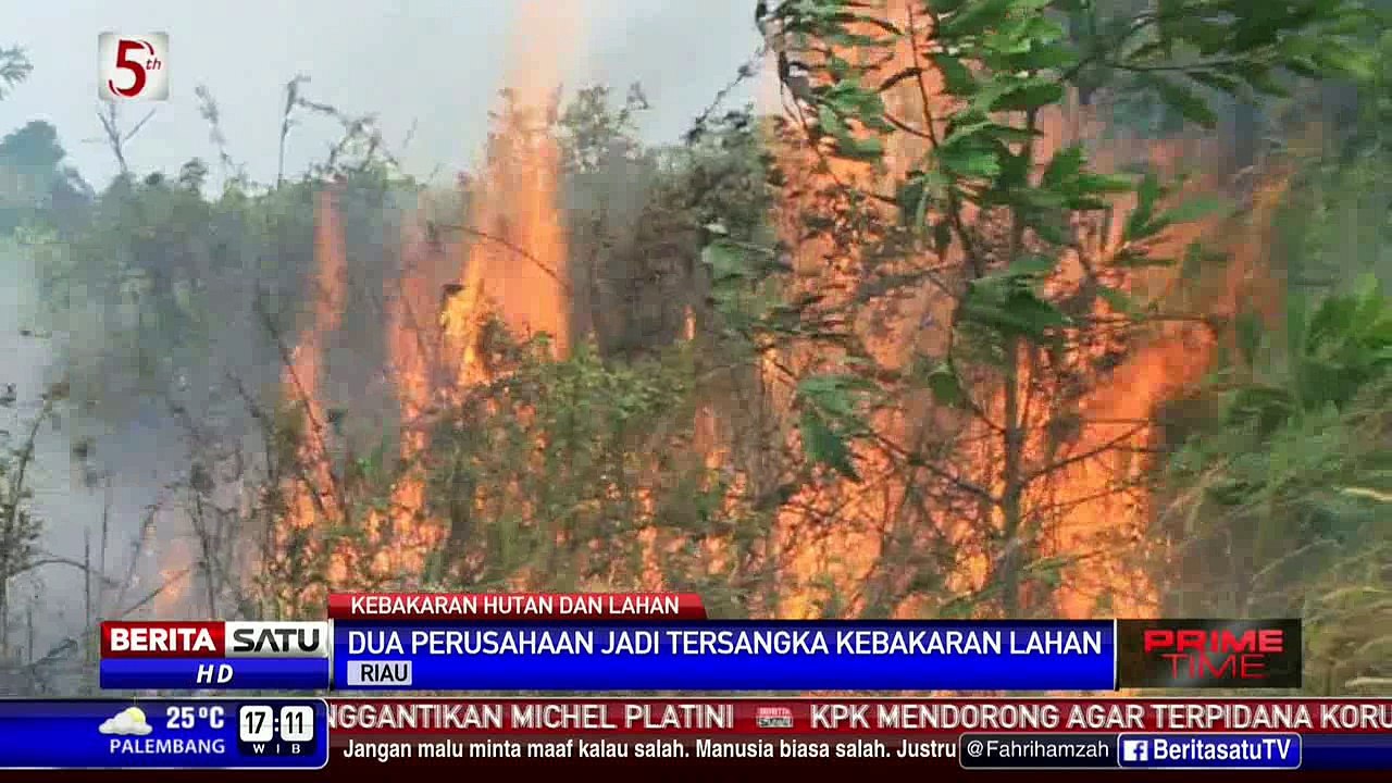 Polda Riau Tetapkan 2 Perusahaan Jadi Tersangka Kebakaran Hutan