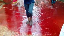 Une rivière de sang dans cette ville après les sacrifices pour une fête musulmane