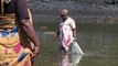 Pour une pêche durable du poulpe à Mayotte