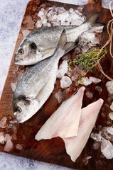 'Beyaz Etli Prens' Çipura'da Talep Patlaması Yaşanıyor